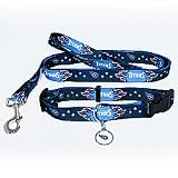 Tennessee Titans Dog Collar & Leash Set