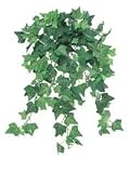 17 Inch x 14 Inch Artificial Mini English Ivy Bush