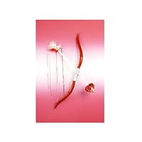 Cupid Bow And Arrow Set