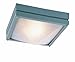 Trans Globe Lighting 43302 GRY Outdoor Harland 4" Flushmount Lantern, Gray