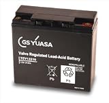 TEV1221 High Quality Yuasa 21AH Golf Battery