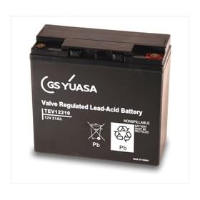 TEV1221 High Quality Yuasa 21AH Golf Battery