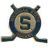Michigan State Spartans Hockey Circle and Sticks Pin