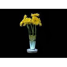 Fortune Products LB-RGBW-6 Super Bright 40 LED Light Base, 6-1/8" Diameter x 1-1/8" Height, Multi-Color