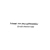 Islamic Art and Spirituality