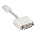 Mini-DVI to DVI-D Adapter Cable for Apple Mac