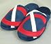 Minnesota Twins MLB Big Logo Hard Sole Slide Slippers - XL