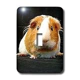 Guinea Pig - Guinea Pig - Light Switch Covers - single toggle switch