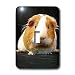 Guinea Pig - Guinea Pig - Light Switch Covers - single toggle switch