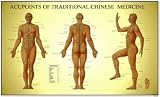 31pwpnJqShL. SL160  Acupoints of Traditional Chinese Medicine Anatomical Chart: Male Reviews