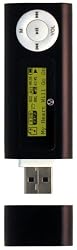 Visual Land V-Stick 4 GB MP3/WMA/Pen Drive/FM Radio/Voice Recorder (Black)