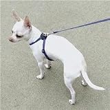 Lil Pals Nylon Harness - Black