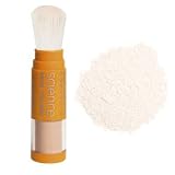 Colorescience Finishing Brush: Invisibly Matte