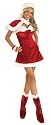 Sexy Santa's Miss Insipiration Costume Adult