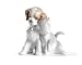���ɥ���LLADRO���դ����ͧ����  01008301���¹��ʡ�
