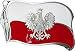Mens POLAND FLAG Punk Rock Metal Belt Buckle