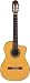 Takamine TH5C Hirade Concert Classical Cutaway Acoustic-Electric Guitar
