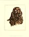 Danchin Red Cocker Spaniel by Danchin Art Print Poster