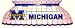 Michigan Wolverines Pool Table Billiards Tiffany Lamp Michigan Wolverines Pool Table Billiards Tiffany Lamp