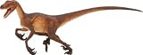Safari: Velociraptor