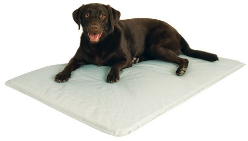 K&H Large Cool Bed 3
