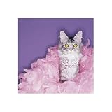 Princess by Unknown. Size 10.63 inches width by 10.59 inches height. High Quality Art Poster Print