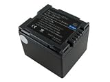 Shopforbattery PANASONIC VDR-M70 camcorder battery