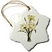 Flowers Narcissi - 3 Inch Snowflake Porcelain Ornament