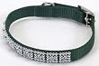 Coastal Adjustable Jeweled Hunter Green Colored Nylon Dog Collar