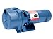 Goulds GT20 Irrigator - 2 hp Irrigation Pump Goulds GT20 Irrigator - 2 hp Irrigation Pump