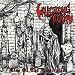 Rise Of The Desecrated