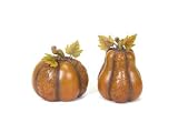 Pack of 4 Fall Harvest Autumn & Thanksgiving Table Top Pumpkins 6.5" - 8.5"