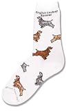 Cocker Spaniel (English) Poses Socks