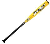 Easton 2009 Synergy IMX Power Hitter LZN2 (-10) Youth Bat