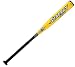 Easton 2009 LZN2 Synergy IMX Power Hitter Youth Baseball Bat (-10 PH) - Size 29/19