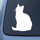 AMERICAN SHORTHAIR - Cat - Vinyl Decal Sticker #1486 | Vinyl Color: White