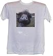 EMU - Zoo-series - White T-shirt