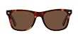 Classic Tortoise Wayfarer Style Sunglasses