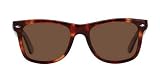 Classic Tortoise Wayfarer Style Sunglasses