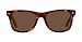 Classic Tortoise Wayfarer Style Sunglasses