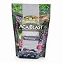 NutritionWorks AcaiChew, Amazon Rainforest Acai Fruit 30 soft chews