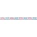 12ft Foil Gender Reveal Banner