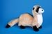 Dapper Ferret 9