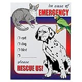Hillman Emergency Rescue Decals 2 Decals