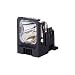 Electronics : Replacement Lamp S490/x490/x500