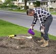 Tree Stump Remover