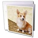 Dogs Corgi - Pembroke Welsh Corgi - Greeting Cards-12 Greeting Cards with envelopes