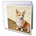 Dogs Corgi - Pembroke Welsh Corgi - Greeting Cards-12 Greeting Cards with envelopes