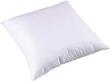 Carpenter Euro Square Sham Stuffer Pillow