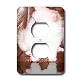 Dogs Pomeranian - White Pomeranian - Light Switch Covers - 2 plug outlet cover